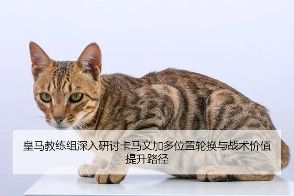 皇马教练组深入研讨卡马文加多位置轮换与战术价值提升路径